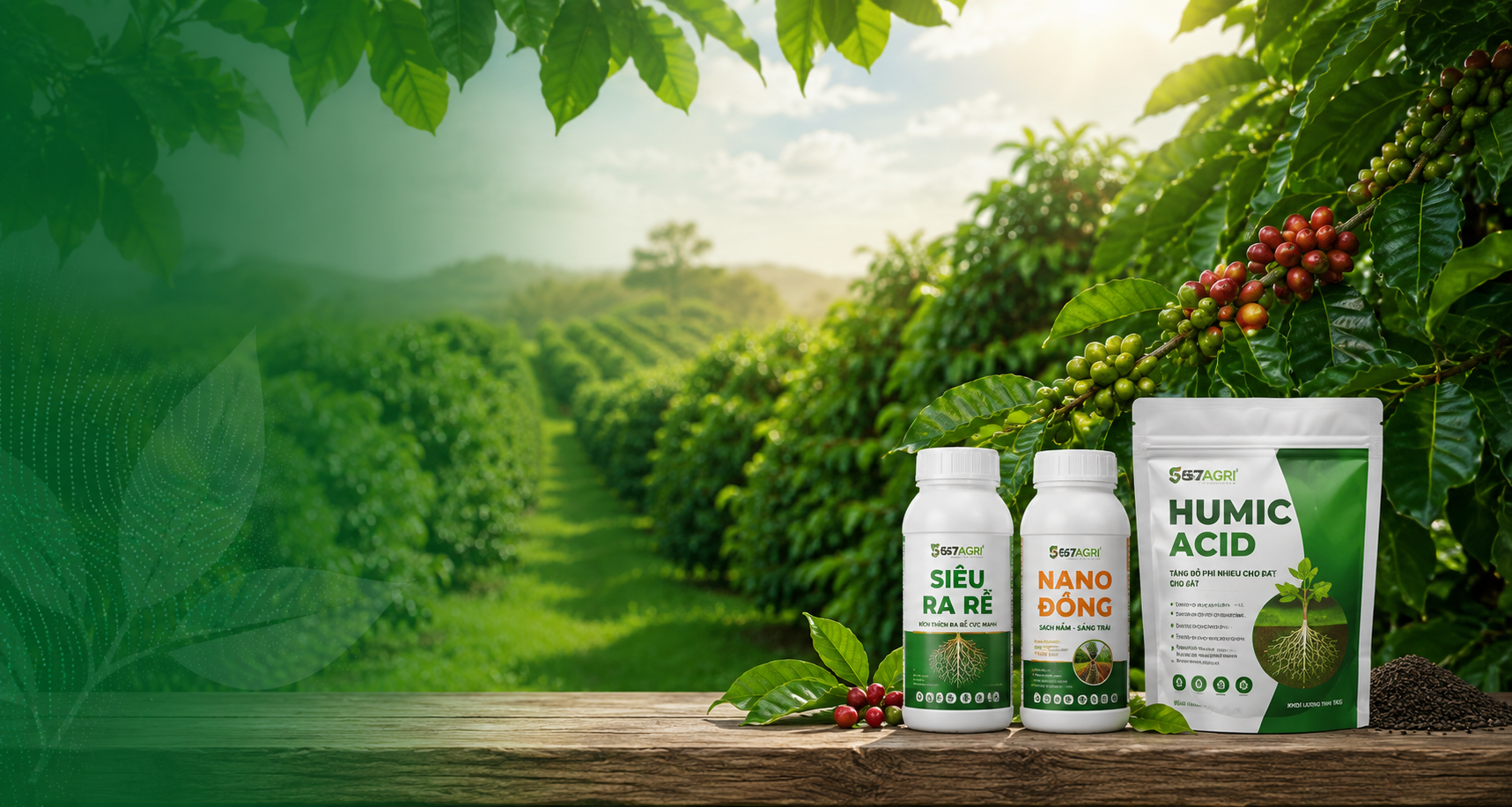 Trụ sở 567 AGRI